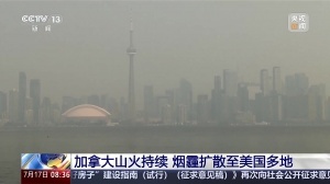 最新乐球世界杯低调看直播_最新乐球世界杯低调看直播在线观看_免费看直播